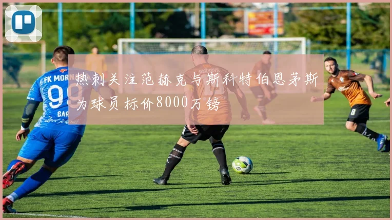 热刺关注范赫克与斯科特伯恩茅斯为球员标价8000万镑
